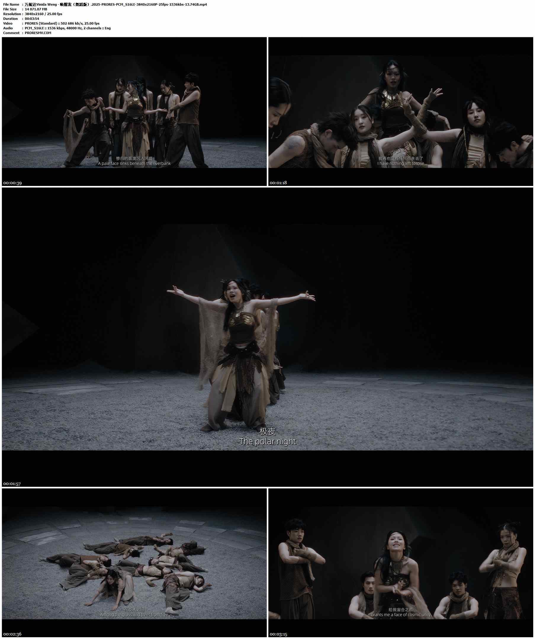 万妮达 Vinida Weng - 唤醒我（舞蹈版）.2025-PRORES-PCM_S16LE-3840x2160P-25fps-1536kbs-13.74GB官方MV_高清MV
